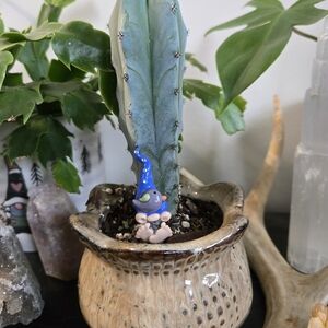 Gnome Plant Stake- Little Gray Bird